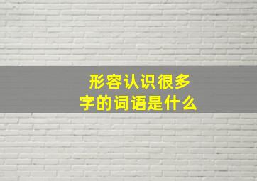 形容认识很多字的词语是什么