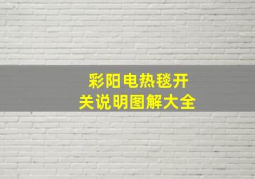 彩阳电热毯开关说明图解大全