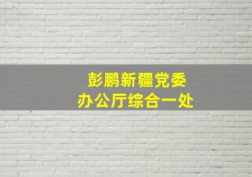 彭鹏新疆党委办公厅综合一处