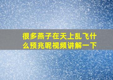 很多燕子在天上乱飞什么预兆呢视频讲解一下