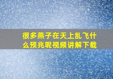 很多燕子在天上乱飞什么预兆呢视频讲解下载