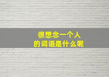 很想念一个人的词语是什么呢