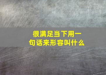 很满足当下用一句话来形容叫什么