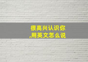 很高兴认识你,用英文怎么说