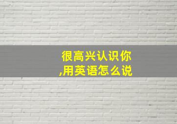 很高兴认识你,用英语怎么说