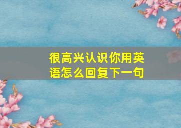 很高兴认识你用英语怎么回复下一句