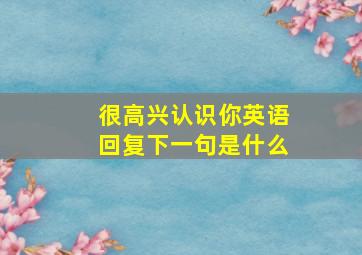 很高兴认识你英语回复下一句是什么