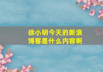 徐小明今天的新浪博客是什么内容啊