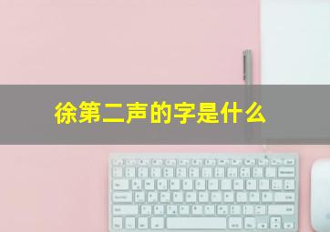 徐第二声的字是什么