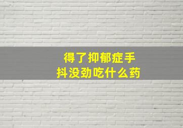 得了抑郁症手抖没劲吃什么药