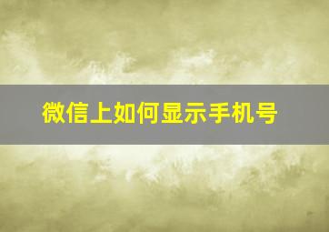 微信上如何显示手机号