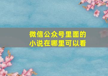 微信公众号里面的小说在哪里可以看