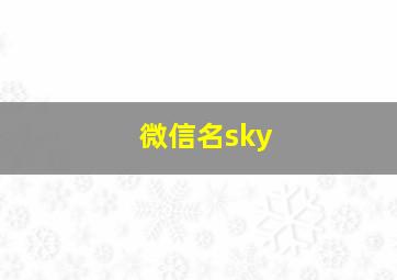 微信名sky