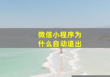 微信小程序为什么自动退出