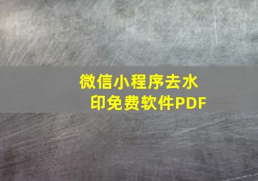 微信小程序去水印免费软件PDF