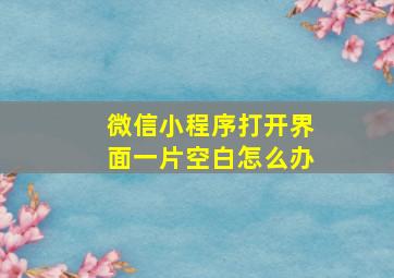 微信小程序打开界面一片空白怎么办