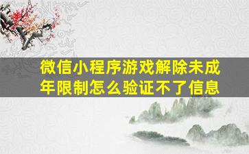 微信小程序游戏解除未成年限制怎么验证不了信息