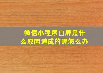 微信小程序白屏是什么原因造成的呢怎么办