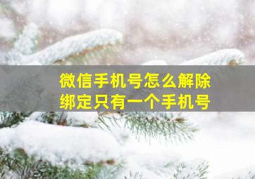 微信手机号怎么解除绑定只有一个手机号