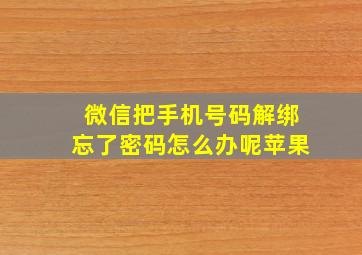 微信把手机号码解绑忘了密码怎么办呢苹果