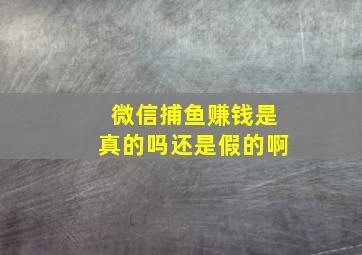 微信捕鱼赚钱是真的吗还是假的啊