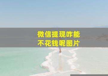 微信提现咋能不花钱呢图片