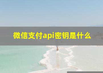 微信支付api密钥是什么