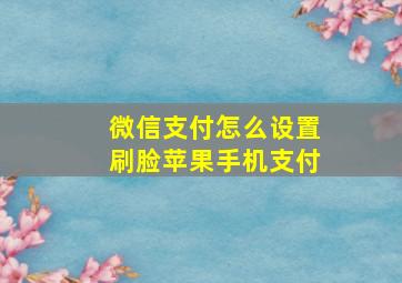 微信支付怎么设置刷脸苹果手机支付