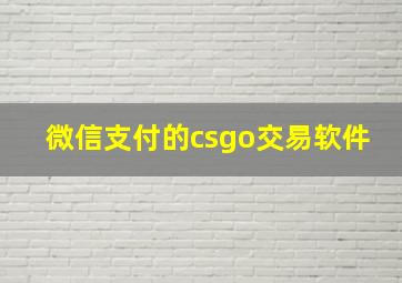 微信支付的csgo交易软件