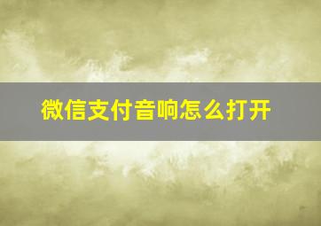 微信支付音响怎么打开