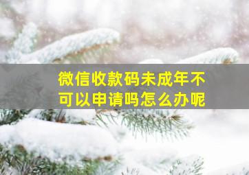 微信收款码未成年不可以申请吗怎么办呢