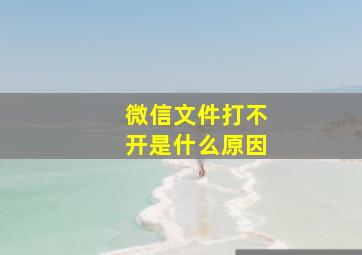 微信文件打不开是什么原因