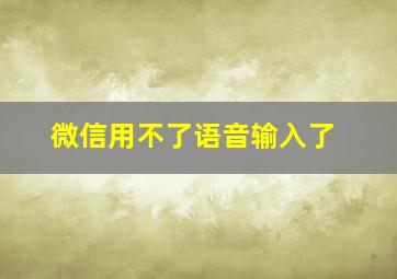 微信用不了语音输入了