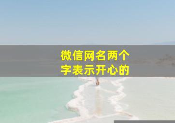 微信网名两个字表示开心的