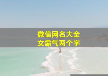 微信网名大全女霸气两个字