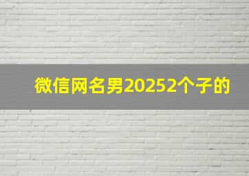 微信网名男20252个子的