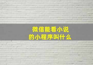 微信能看小说的小程序叫什么