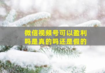 微信视频号可以盈利吗是真的吗还是假的