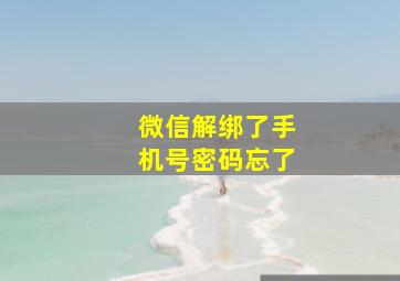 微信解绑了手机号密码忘了