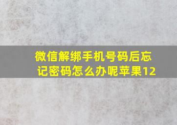 微信解绑手机号码后忘记密码怎么办呢苹果12