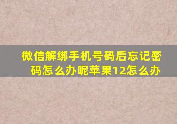 微信解绑手机号码后忘记密码怎么办呢苹果12怎么办