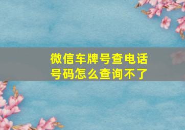 微信车牌号查电话号码怎么查询不了