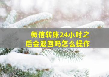 微信转账24小时之后会退回吗怎么操作