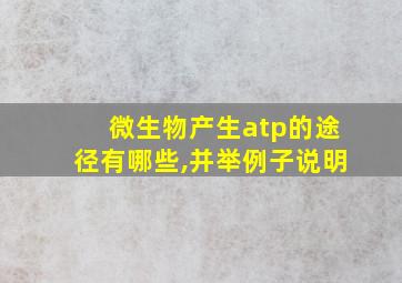 微生物产生atp的途径有哪些,并举例子说明