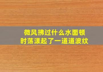 微风拂过什么水面顿时荡漾起了一道道波纹