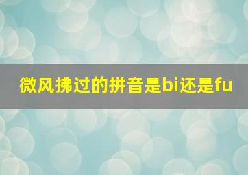 微风拂过的拼音是bi还是fu