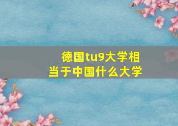 德国tu9大学相当于中国什么大学