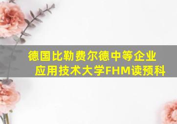 德国比勒费尔德中等企业应用技术大学FHM读预科