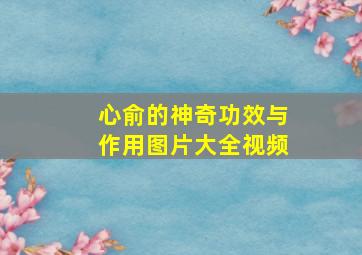 心俞的神奇功效与作用图片大全视频