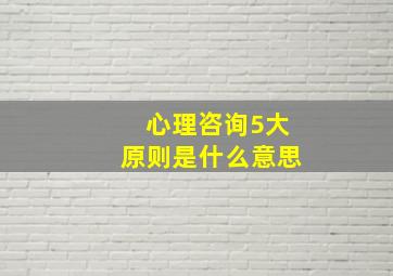 心理咨询5大原则是什么意思